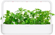 Змінний картридж Click&Grow Котяча м'ята 3 капсули (4742793007465-7465) - зображення 5