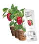 Змінний картридж Click&Grow червоний солодкий перець 3 капсули (4742793009278) - зображення 1