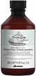 Szampon do włosów Davines Naturaltech Detoxifying oczyszczający 250 ml (8004608256533) - obraz 1