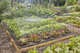 Zestaw do nawadniania Gardena Micro-Drip-System (13450-20.000.00) - obraz 6