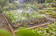 Zestaw do nawadniania Gardena Micro-Drip-System (13450-20.000.00) - obraz 7