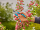 Секатор Gardena EasyCut 20 мм (12230-20.000.00) - зображення 13