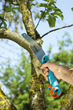 Садова пила Gardena Combisystem CS 300 PP (08737-20.000.00) - зображення 9