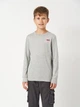Футболка с длинным рукавом детская Levi's Lvb L/S Batwing Chesthit Tee 9EC706-C87 170-176 см Серая (3665115295399) - изображение 1