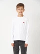 Подростковая футболка с длинными рукавами для мальчика Levi's Lvb L/S Batwing Chesthit Tee 9EC706-001 140-146 см (3665115291803) - изображение 1
