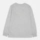 Футболка с длинным рукавом детская Levi's Lvb L/S Batwing Chesthit Tee 9EC706-C87 170-176 см Серая (3665115295399) - изображение 6