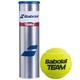 М'ячі для тенісу Babolat Team metall box 4b Жовтий (502035-113) - зображення 1