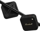 Портативная колонка Marshall Portable Speaker Willen II Black and Brass - изображение 5