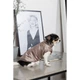 Жилет для собак Pet Fashion Hardy бежевый утеплённый водонепроницаемый размер S2 (MLZ10955) - изображение 6