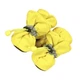 Обувь для собак "мешочки" Yellow Size 4 - изображение 6