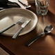 Набір столових приборів Ikea Doftskold 24 елементи Чорний (906.095.88) - зображення 3
