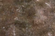 Флизелиновые обои винил горячего тиснения Elegance Селена-2 2385-04 Коричневый (1,06х10,05м) - изображение 3