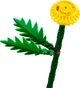 Конструктор Lego Botanicals Полевые цветы 30701 - изображение 4