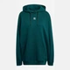 Худи оверсайз женское Adidas Originals Essentials French Terry JX7757 L Зеленое (4068807542105) - изображение 10
