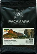 Кофе в зернах Pacamara Ethiopia Sidamo Ayla Bensa 1000 г (1 кг) (4820287550144) - изображение 1