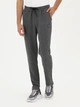 Спортивные штаны мужские Pierre Cardin G021SZ0OP-000-2027655 XL Серые (8683857718414) - изображение 1