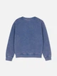 Світшот на флісі Primark блідо-синій з принтом EEXGW207 146 - изображение 2