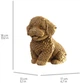Картонный конструктор Cartonic 3D Puzzle Maltipoo 122 элемента (CARTMALTIPOO) - изображение 4