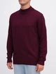 Гольф-водолазка мужская EQUILIBRI M342 004 000-3871 S Bordo (2299965884604) - изображение 3