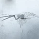 Конструктор Rokr скат Manta Ray на 108 деталей Чёрный (1016-296-00) - изображение 16