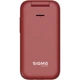 Мобильный телефон Sigma X-style 281 CLIK Red - изображение 4