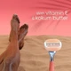 Сменные картриджи для бритья (лезвия кассеты) женские Venus Breeze Comfortglide Miami Sunset 4шт - изображение 5
