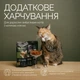 Хрустящие лакомства Savory Cats Snacks Crunchy Balls для взрослых привередливых кошек, шарики с кошачьей мятой 60 г (4820261921335) - изображение 4