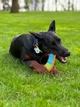 Игрушка для собак WAUDOG Fun, "Бумеранг", Голубая (62072) - изображение 7