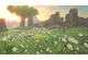 Игра The Legend of Zelda: Breath of the Wild для Nintendo Switch (RU) [48302] - изображение 4