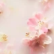 Подарунковий набір Rituals The Ritual of Sakura Large Gift Set - зображення 4