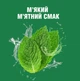 Ополаскиватель для ротовой полости Listerine Total Care Защита десен 250 мл (3574661397719/3574661397641) - изображение 9