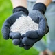 Твердое удобрение Compo длительного действия для газонов 2 кг (5283/4008398152833) - изображение 13