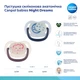 Пустышка силиконовая анатомическая Canpol Babies Night Dreams 6-18 месяцев (22/501_blu_new) - изображение 4