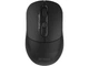 Миша A4Tech FB10CS Stone Black - изображение 1