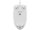 Миша A4Tech N-530 USB White - изображение 2
