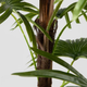 Штучна рослина Homla Tropical Zone пальма 100 cм (5906496740602) - зображення 4