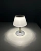 Настольная лампа Goldlux 325457 Viola LED 4000K IP44 - изображение 3