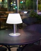 Настольная лампа Goldlux 325457 Viola LED 4000K IP44 - изображение 5