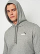 Худи утепленное мужское Puma Essentials Graphics 68471803 L Medium Gray Heather (4067983605147) - изображение 4