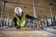 Пила дискова акумуляторна DeWALT, 54В XR FLEXVOLT Li-lon 3 Аг, діаметр диска 190х30 мм, 5800 об/хв, вага 3.7 кг, TSTAK (DCS579X2) - изображение 5