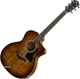 Гитара электроакустическая Taylor 224CE-K DLX (227222) - изображение 1