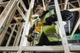 Дриль мережевий DeWALT, ударний, 701 Вт, 5.2 Нм, 0-2800 об/хв, 47600 уд/хв, патрон 13 мм, кількість швидкостей - 1, вага 1.6 кг, - изображение 4