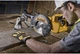 Пила торцювальна мережева DeWALT 1300 Вт, 4600 об/хв., диск 216х30 мм, вага 11.5 кг (DWS773) - изображение 6
