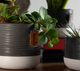 Osłonka ceramiczna na doniczkę Kadax Pokka szaro-biała 12 cm (5903699478226) - obraz 7