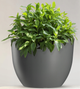 Donica ogrodowa Kadax Rafat Szara 35 cm (5903699476826) - obraz 2