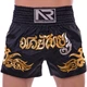 Шорты для тайского бокса и кикбоксинга Another Boxing Heroe 2340 размер M (46-48) Black-Gold - изображение 2