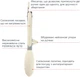 Щипці Vinzer Culinary сервірувальні (50677) - зображення 5