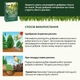 Твердое удобрение Compo длительного действия для хвойных 2 кг (3856/4008398138561) - изображение 7