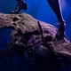 Статуетка LEAGUE OF LEGENDS KAI'SA 1/4 Scale (Ліга легенд) - зображення 8