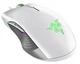 Миша Razer Lancehead Tournament Mercury Edition (RZ01-02130200-R3M1) White USB - зображення 1